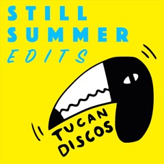 Lavine Hudson - Intervention (Tucan Discos Edit)