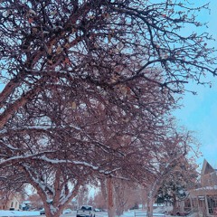 Winter 2023-24