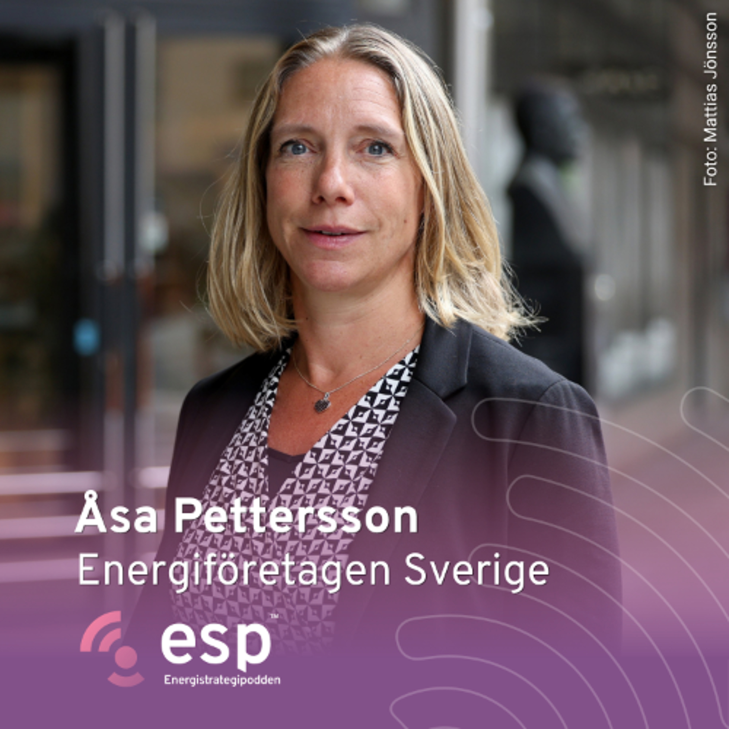 #350 - Åsa Pettersson, Energiföretagen Sverige episode artwork
