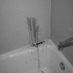 BLEACHED X KIll SALEM