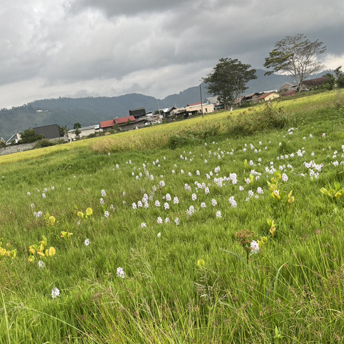 #MYSTERIOUS GIRL 2022 (RISKY RACLAW X PASBUK) #PRIEVIEW.mp3