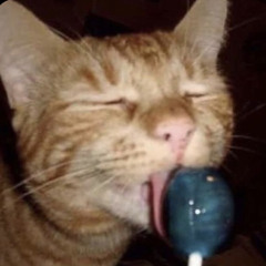 tried 2 better prod revisitingearth