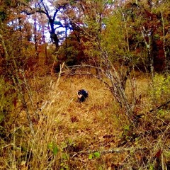 GladiatorSeason(EP)(Prod.Strange+Frössy)