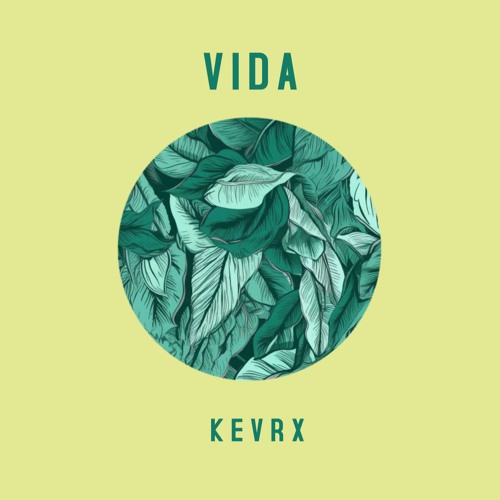 Vida - Poolside:FM EP (SUMMER - TECH HOUSE - BEACH  - PARTY MIX)