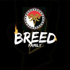SPECIAL REQUEST BREED FAMILY FROM RAMA MAYUN - SALAM TERBANG ✈️✈️ - [Putu Pangestu]