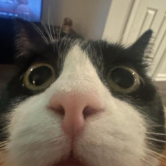 Hyper Light Drifter like beat