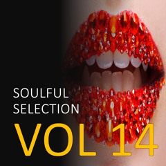 PIANO HOUSE MIX (VOL 14) - MIXED BY SAM FINGERS