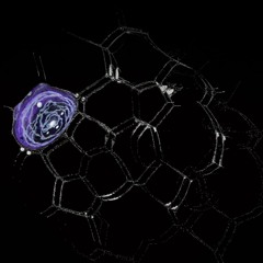 SYN Premiere: Skøza - Sidan [SKZ002]