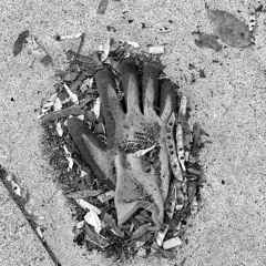 Duet for Two Air Blowers