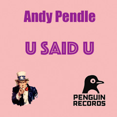 Andy Pendle - U Said U (Sample)