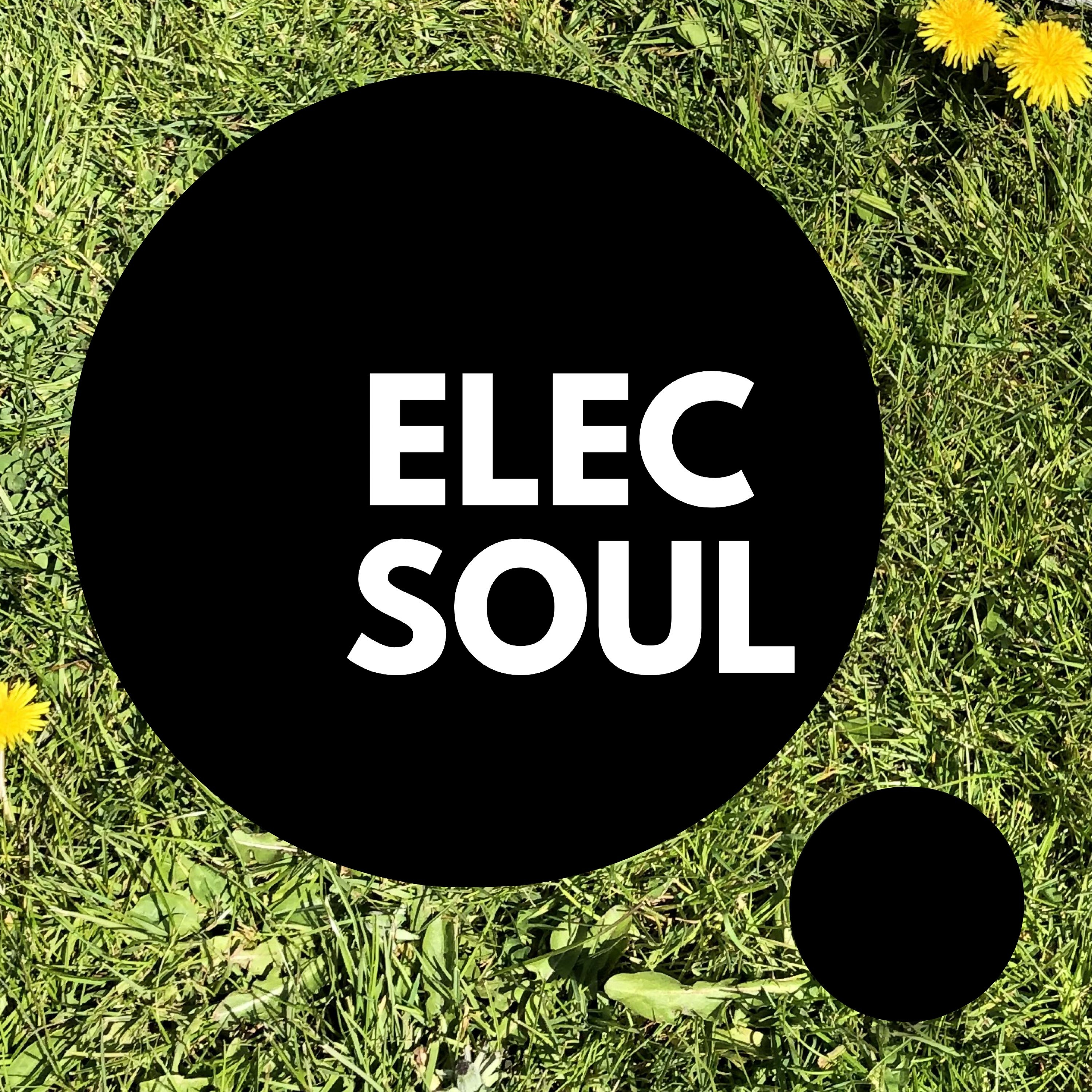 ElecSoul
