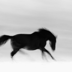 Ramy Gamal - Matlaatesh Gadaa | رامي جمال - ماطلعتش جدع