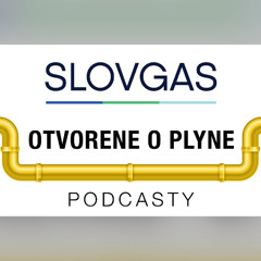 Otvorene o plyne s L.Gorylom