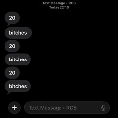 20 bitches freestyle