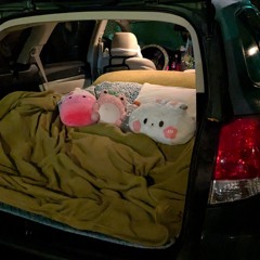 i'm not gay :( -demo