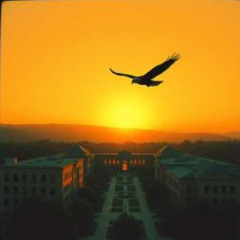 “Eagle’s First Flight”