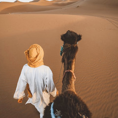 علا البشآري