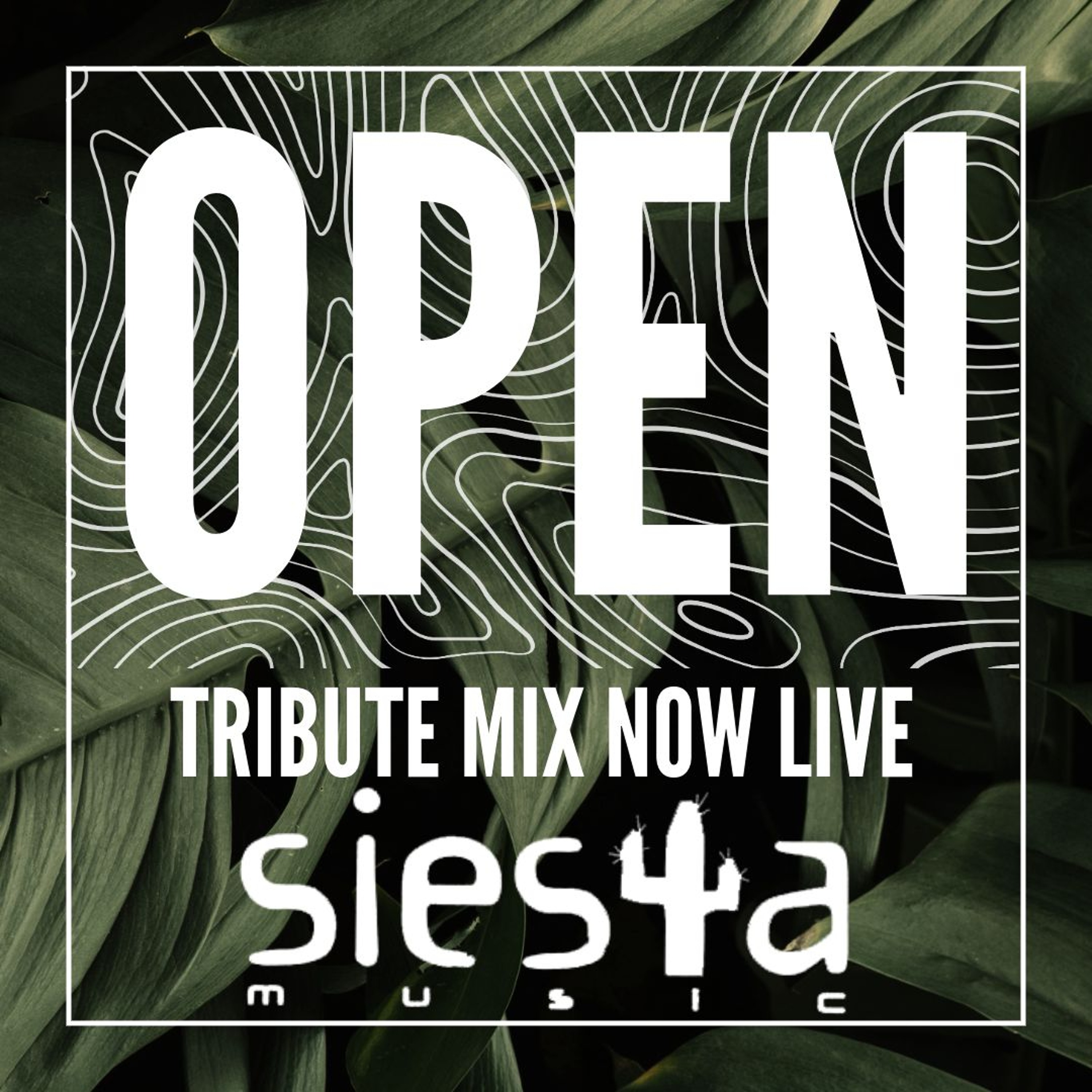 OPEN presents.... A Tribute to SIESTA MUSIC episode artwork