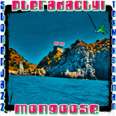 The Pterodactyl and The Mongoose - with Stonerjazz