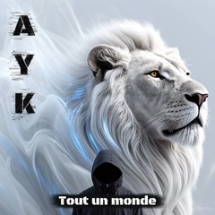 Un jour tu verra