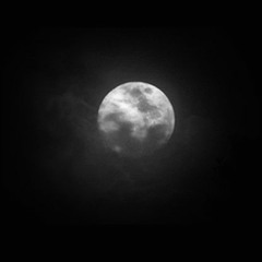 moonlight demo