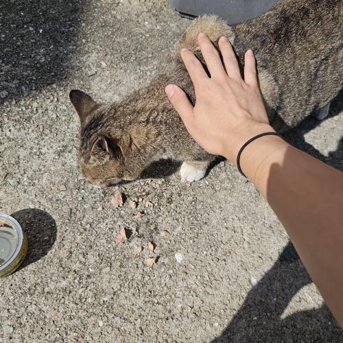 어저께 남은 술을 (prod. stoic)