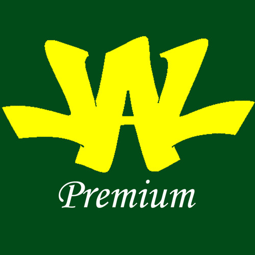 The Big Spill (DJ Demo Mix)