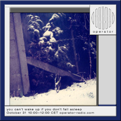 you can't wake up if you don't fall asleep - 31st October 2025