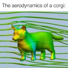 the aerodynamics of a corgi