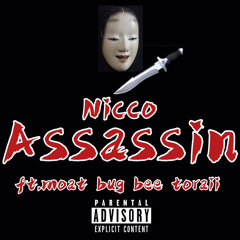 Assassin-Nicco feat.moat.bug bee.toraii