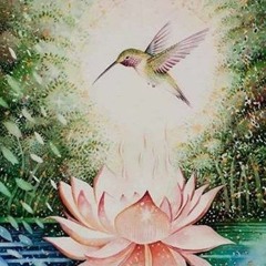 Flor Do Mar 2
