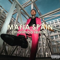 MAFIA SPAIN (Marimba Remix)