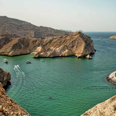 Telepatia x $$$ Ledger Mix