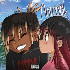Animal (Prod. Nick Mira)
