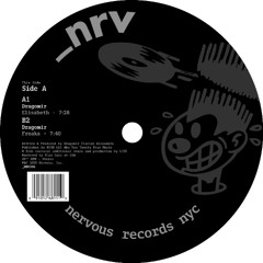 PREMIERE: Dragomir - Elisabeth (Lizz Dissconnected Remix) [_NRV]