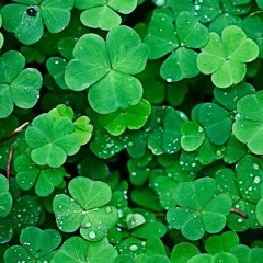 U GOT LUCKY feat. theArKaySea