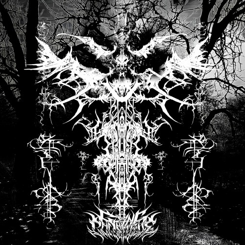 FREE DL : CSMR - WHILE SHE SLEEPS