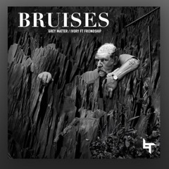 Ivory - Bruises & Fri3ndship
