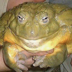 Playboi Carti Cash Carti- Money Run It Up