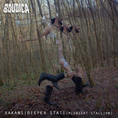PREMIERE: RAKANS - Deeper State (Midnight Stallion) [BOU02D]