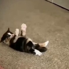 asagohan no uta but im congested as freak