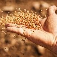 Key to the Parable of Parables (Rev. Bill Williams, 10/22/23)