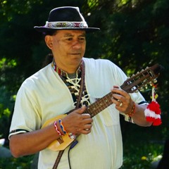 Reno Couple Teaches Peruvian Culture Through Music