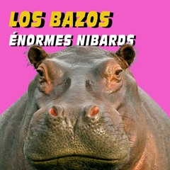 Énormes nibards