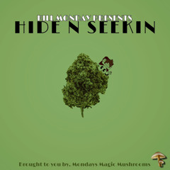 HIDE & SEEKIN (Prod. CURTES)