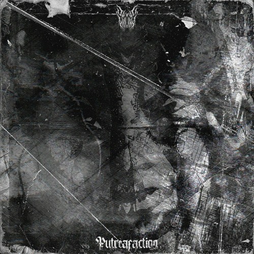 Putrefaction