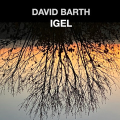 5 Acht Kerzen für Mona