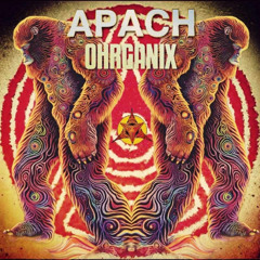 APACH - Canumpa - Ohrganix -ep - soon out on Galama Records