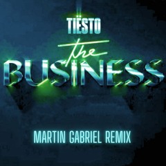 Tiesto - The Business (Martin Gabriel Remix )