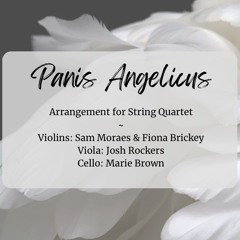 Panis Angelicus - String Quartet